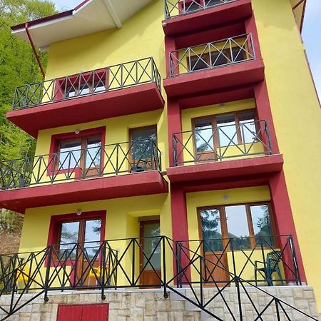 Vila Ioana Hotell Slănic-Moldova Eksteriør bilde